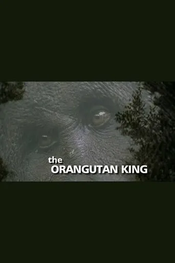 Póster de The Orangutan King