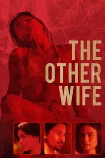 Póster de The Other Wife