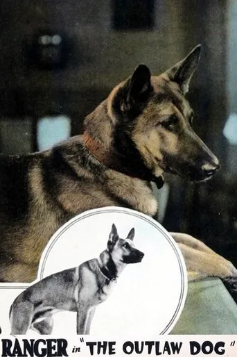 Póster de The Outlaw Dog