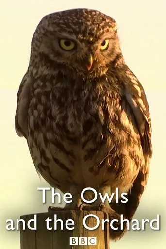 Póster de The Owls and the Orchard