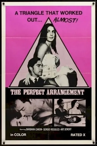 Póster de The Perfect Arrangement