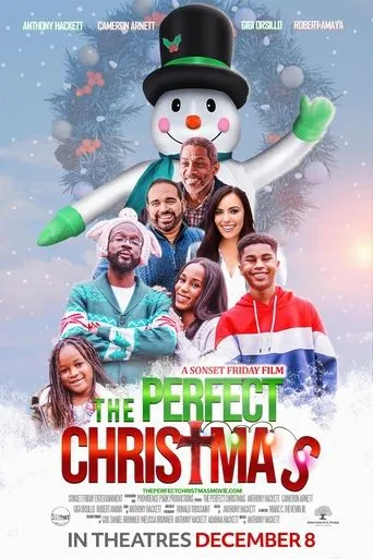 Póster de The Perfect Christmas