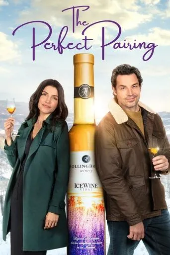 Póster de The Perfect Pairing