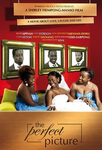 Póster de The Perfect Picture