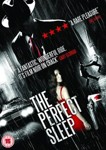 Póster de The Perfect Sleep