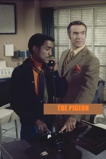Póster de The Pigeon