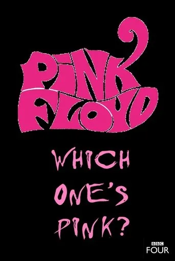 Póster de The Pink Floyd Story: Which One's Pink?