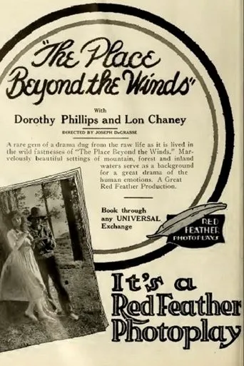 Póster de The Place Beyond the Winds
