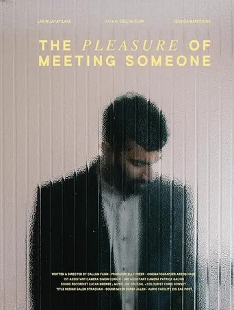 Póster de The Pleasure of Meeting Someone