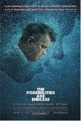 Póster de The Possibilities Are Endless