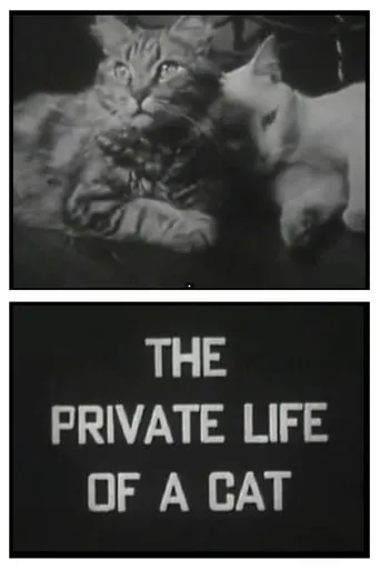 Póster de The Private Life of a Cat