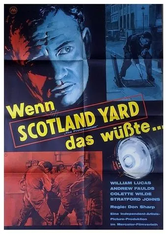 Póster de The Professionals