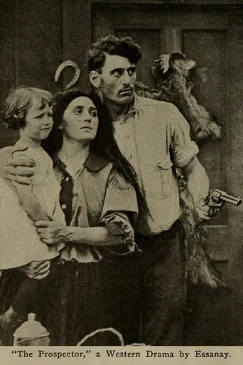 Póster de The Prospector