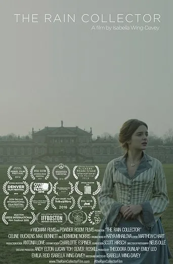Póster de The Rain Collector