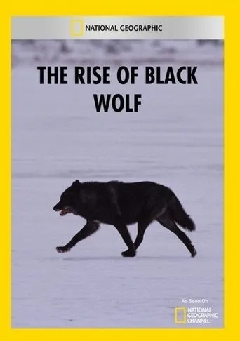 Póster de The Rise of Black Wolf