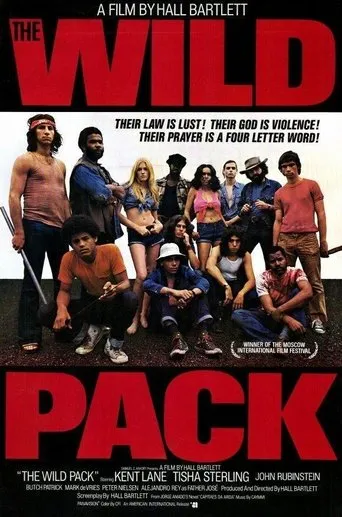 Póster de The Sandpit Generals