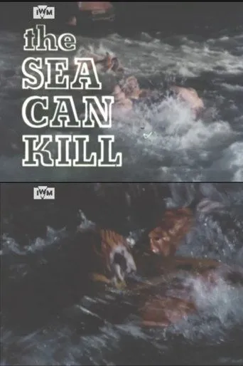 Póster de The Sea Can Kill