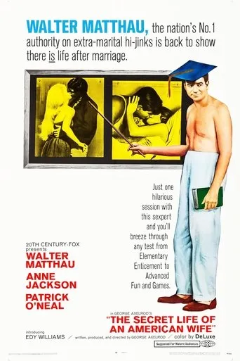 Póster de The Secret Life of an American Wife