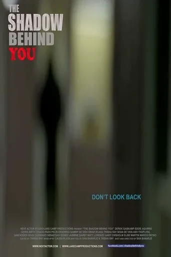 Póster de The Shadow Behind You