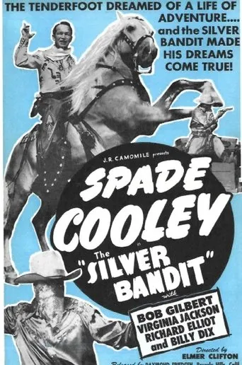 Póster de The Silver Bandit