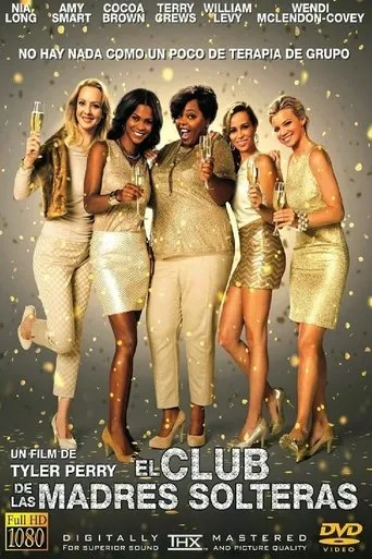 Póster de The Single Moms Club