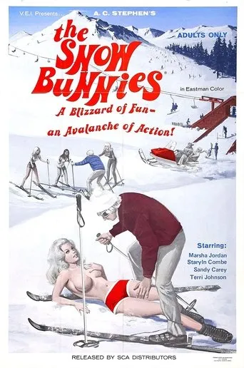 Póster de The Snow Bunnies