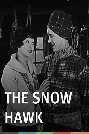Póster de The Snow Hawk