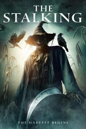 Póster de The Stalking