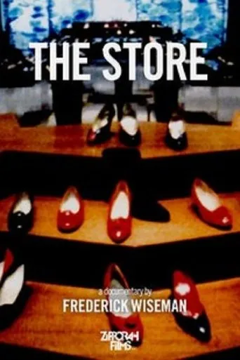 Póster de The Store