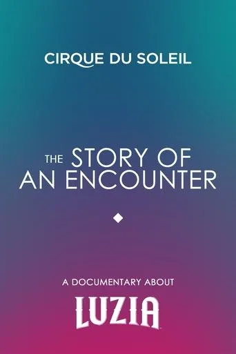 Póster de The Story Of An Encounter