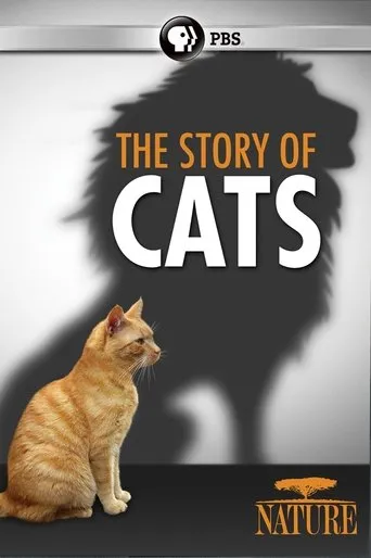 Póster de The Story of Cats