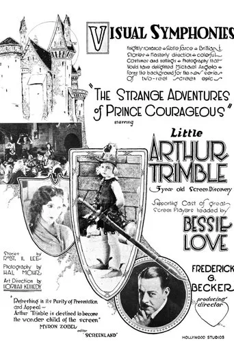 Póster de The Strange Adventures of Prince Courageous