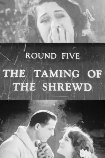 Póster de The Taming of the Shrewd
