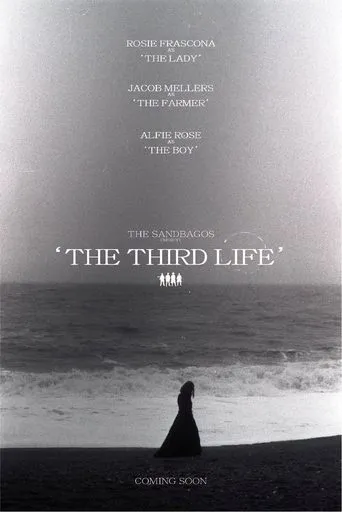 Póster de The Third Life