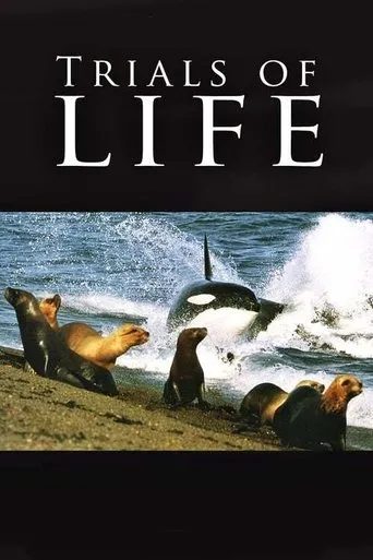 Póster de The Trials of Life