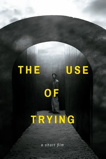 Póster de The Use of Trying