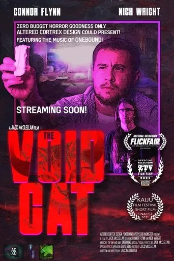 Póster de The Void Cat
