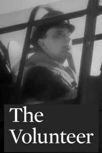 Póster de The Volunteer