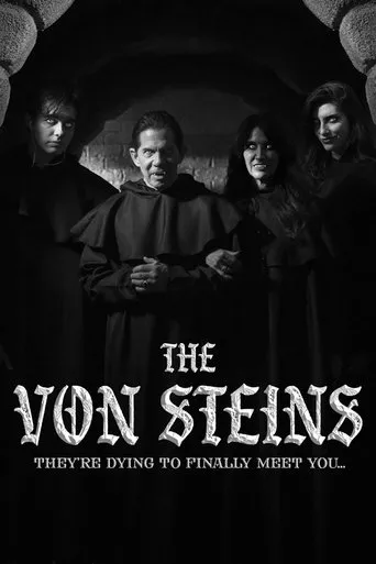 Póster de THE VON STEINS