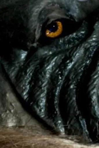 Póster de The Werewolf of Chatsford