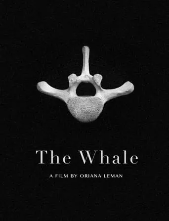Póster de The Whale