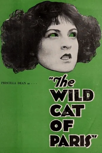 Póster de The Wildcat of Paris