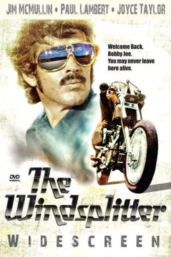 Póster de The Windsplitter