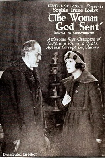 Póster de The Woman God Sent