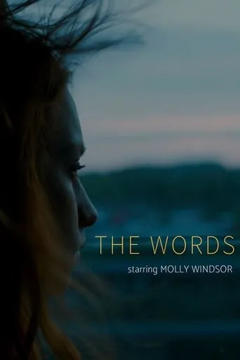 Póster de The Words