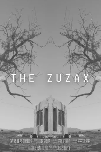 Póster de The Zuzax