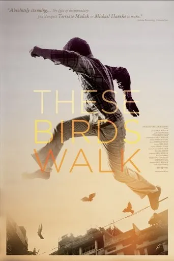Póster de These Birds Walk