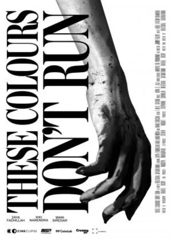 Póster de These Colours Don't Run