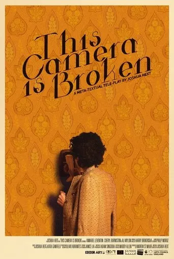 Póster de This Camera is Broken
