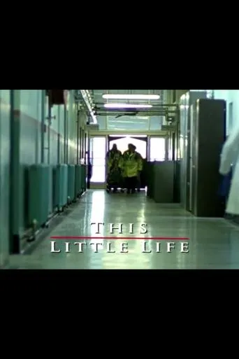 Póster de This Little Life